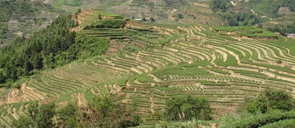 Pictures from Babette’s China Trip
